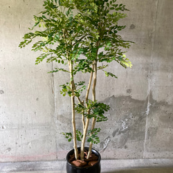 光触媒　人工観葉植物　ウォールグリーン　フェイクグリーン　トネリコ16573 3枚目の画像