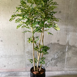 光触媒　人工観葉植物　ウォールグリーン　フェイクグリーン　トネリコ16573 10枚目の画像