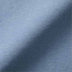厚みのあるBIGシルエットTシャツ「 Himalayan blue poppy　青いケシの花 」/送料無料 10枚目の画像