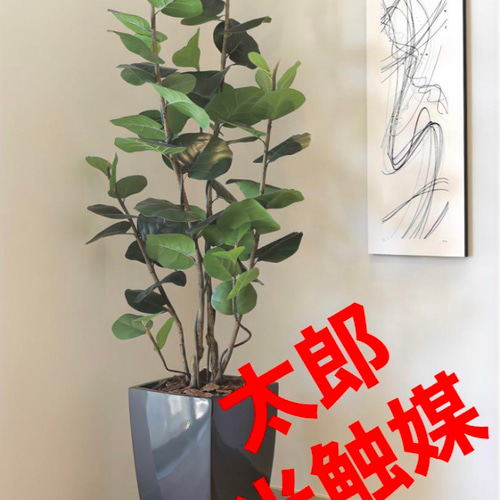 光触媒 人工観葉植物 フェイクグリーン アーバンシーグレープ1.8