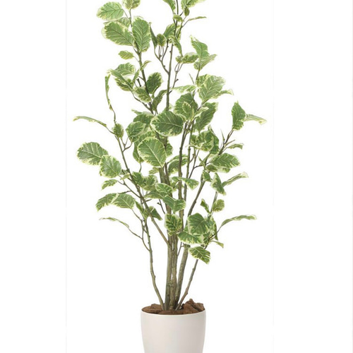 光触媒 人工観葉植物 ウォールグリーン フェイクグリーン