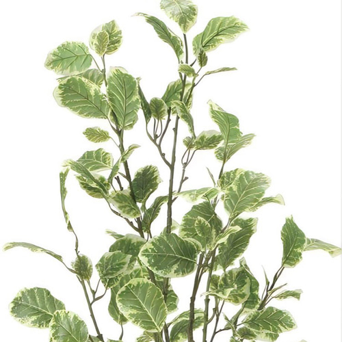 光触媒 人工観葉植物 ウォールグリーン フェイクグリーン