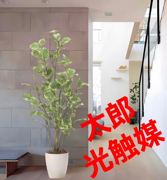 光触媒　人工観葉植物　ウォールグリーン　フェイクグリーン　ポリシャス1.15 光触媒 人工観葉植物 ウォールグリーン フェイクグリーン