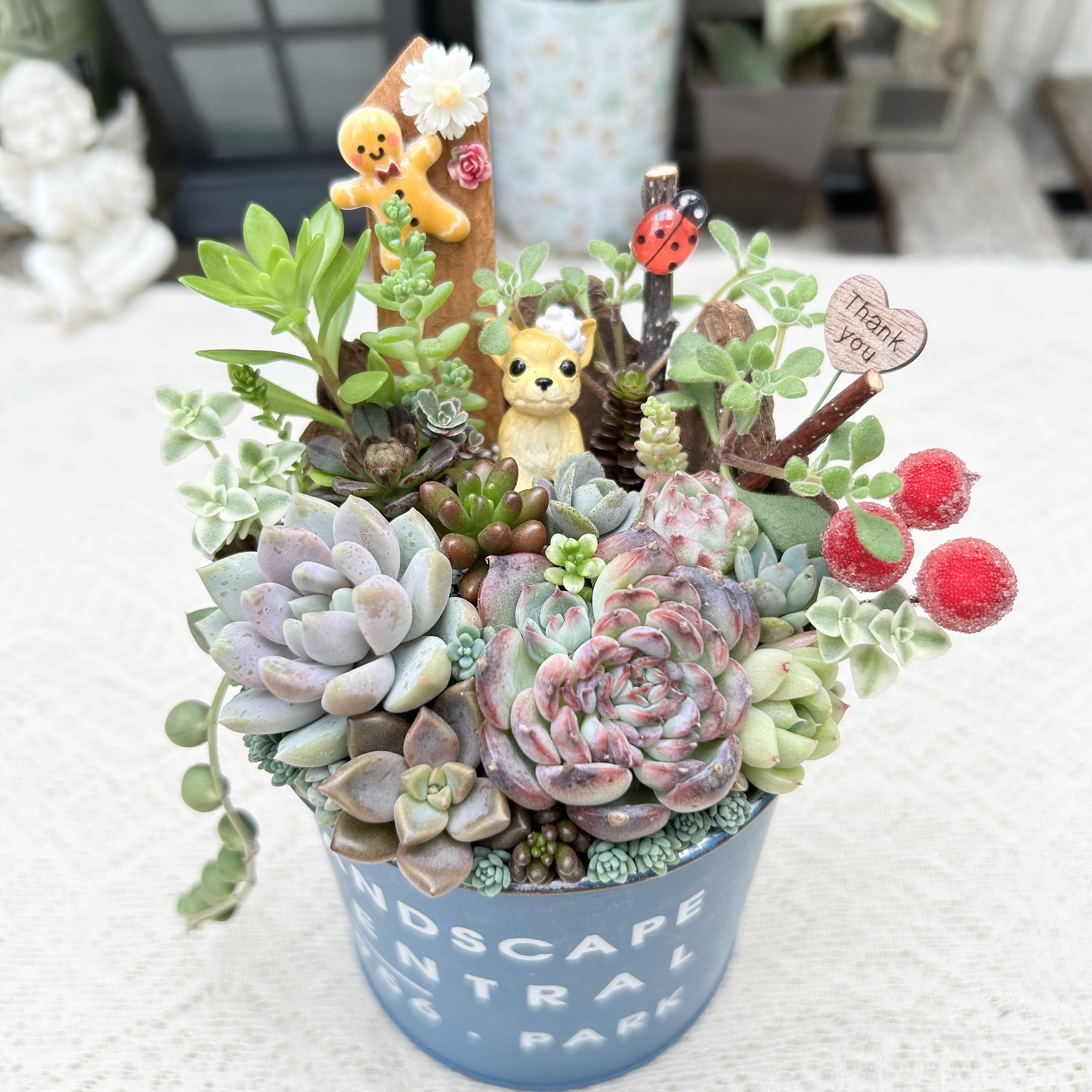 ❤️専用❤️多肉植物❤️そのまま飾れる寄せ植え❤️ねこちゃん