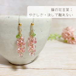 ♡可憐なガラスの藤の花ピアス／イヤリング♡チェコガラスビーズ ファルファーレ ふじのはな 春 お花 イヤーアクセサリー 11枚目の画像