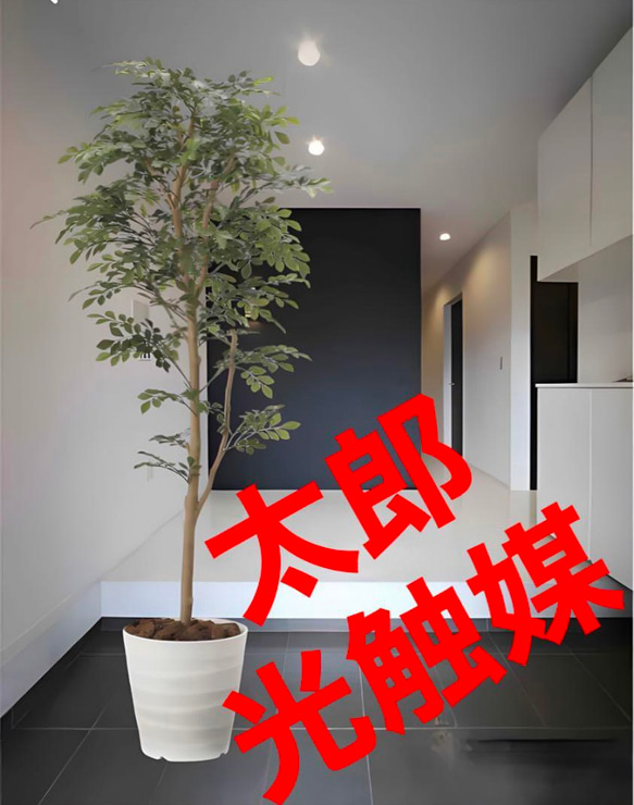 光触媒 人工観葉植物 ウォールグリーン フェイクグリーン ツートン