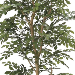 光触媒　人工観葉植物　ウォールグリーン　フェイクグリーン　トネリコ1.6M 6枚目の画像
