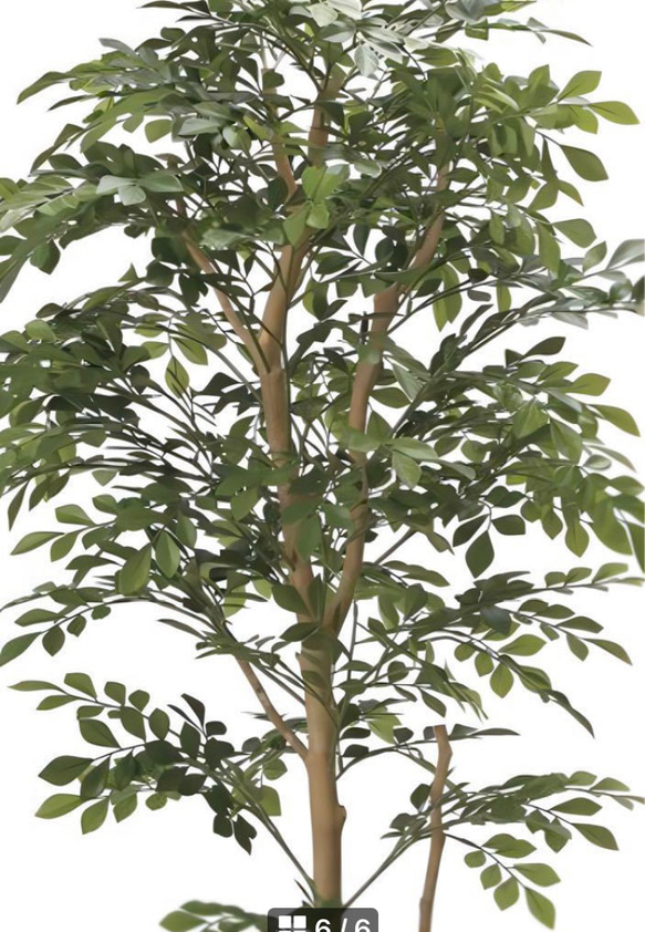 光触媒　人工観葉植物　ウォールグリーン　フェイクグリーン　トネリコ1.6M 6枚目の画像