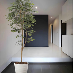光触媒　人工観葉植物　ウォールグリーン　フェイクグリーン　トネリコ1.6M 2枚目の画像