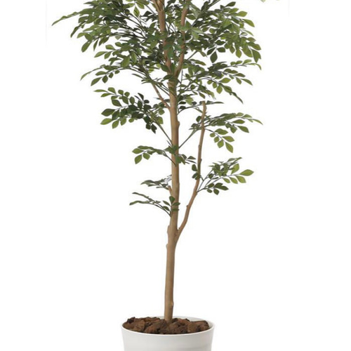 光触媒 人工観葉植物 ウォールグリーン フェイクグリーン トネリコ1.6m 