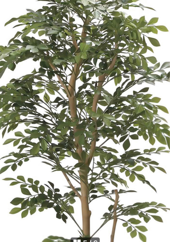 光触媒　人工観葉植物　ウォールグリーン　フェイクグリーン　トネリコ1.6M 5枚目の画像