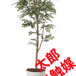 光触媒　人工観葉植物　ウォールグリーン　フェイクグリーン　トネリコ1.6M 3枚目の画像