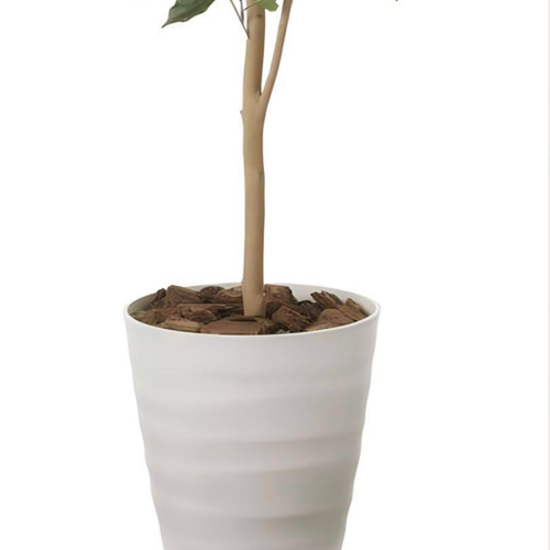 光触媒　人工観葉植物　ウォールグリーン　フェイクグリーン　ベンジャミン1.8jg 光触媒 人工観葉植物 ウォールグリーン フェイクグリーン ベンジャミン