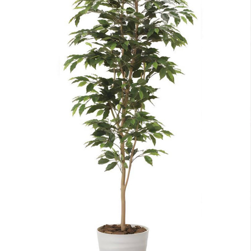 光触媒　人工観葉植物　ウォールグリーン　フェイクグリーン　ベンジャミン1.8jg 光触媒 人工観葉植物 ウォールグリーン フェイクグリーン ベンジャミン