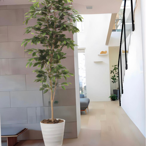 光触媒　人工観葉植物　ウォールグリーン　フェイクグリーン　ベンジャミン1.8jg 光触媒 人工観葉植物 ウォールグリーン フェイクグリーン ベンジャミン