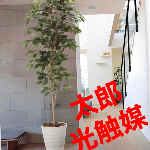 光触媒 人工観葉植物 ウォールグリーン フェイクグリーン