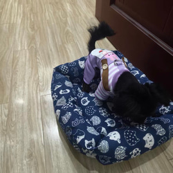 可愛い猫犬　ワンチャン　ニャーチャン　ペット服　ハーネス 9枚目の画像