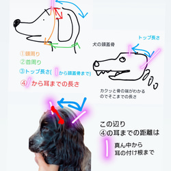 新作‼️ 犬の帽子キャップ　5色　　小型犬4.5kg〜 17枚目の画像