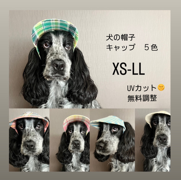 新作‼️ 犬の帽子キャップ　5色　　小型犬4.5kg〜 1枚目の画像