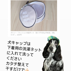 新作‼️ 犬の帽子キャップ　5色　　小型犬4.5kg〜 20枚目の画像