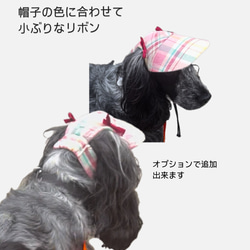 新作‼️ 犬の帽子キャップ　5色　　小型犬4.5kg〜 18枚目の画像