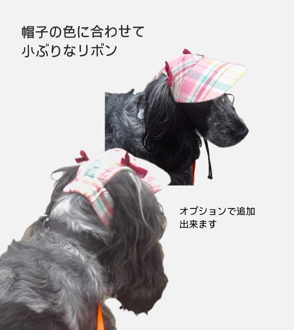 新作‼️ 犬の帽子キャップ　5色　　小型犬4.5kg〜 18枚目の画像