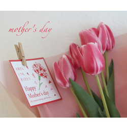 母の日プレゼント❁¨̮  ずっと咲いているチューリップの花束を感謝を込めて贈りたい 2枚目の画像