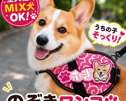 再販⭐︎のぞきわんこ 愛犬 ネームワッペン 刺繍 julius-k9 ユリウスk9