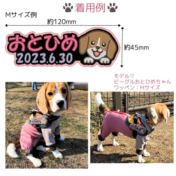 【3×11cm】愛犬 ネームワッペン 刺繍 julius-k9 ユリウスk9 対応 ネームタグ ネームラベル マジック 3枚目の画像