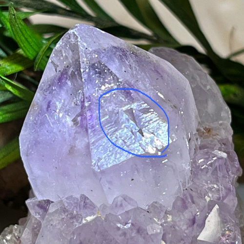 トライゴーニック✨虹入り　カクタスアメジスト　サボテン水晶　ラフストーン　原石 トライゴーニック✨虹入りカクタスアメジストサボテン水晶ラフストーン原石