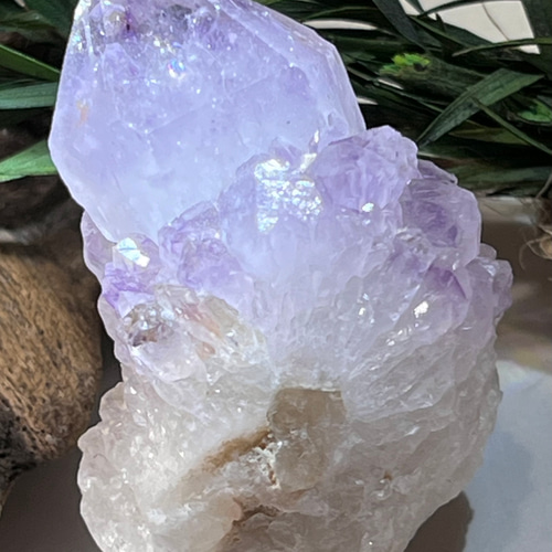 トライゴーニック✨虹入り　カクタスアメジスト　サボテン水晶　ラフストーン　原石 トライゴーニック✨虹入りカクタスアメジストサボテン水晶ラフストーン原石