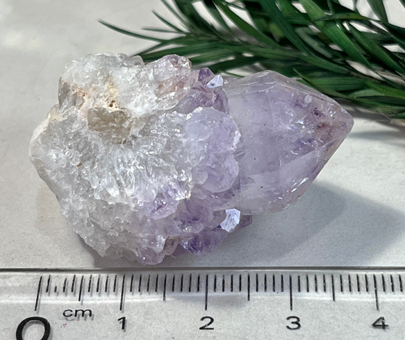 トライゴーニック✨カクタスアメジストサボテン水晶ラフストーン原石