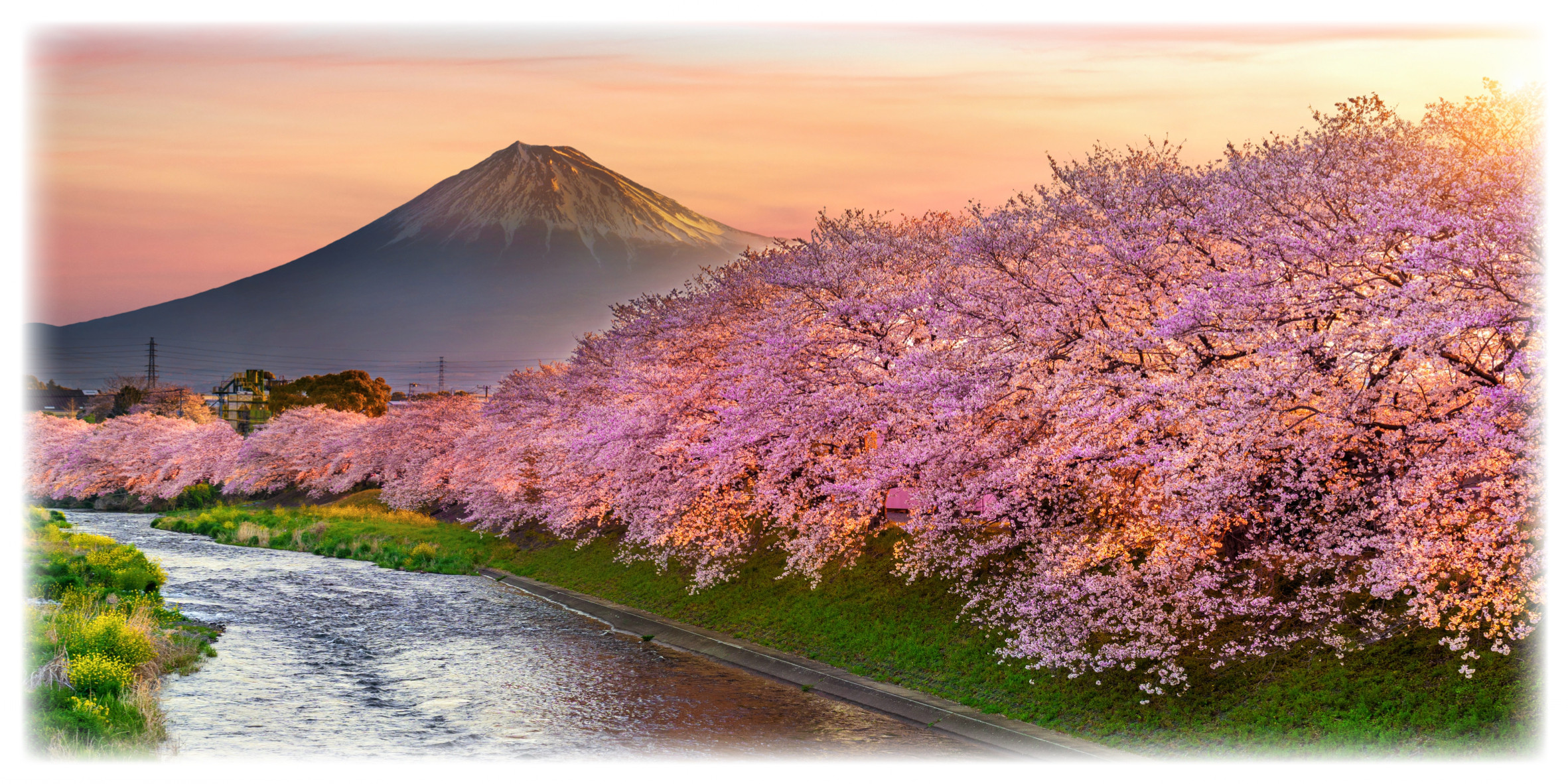 【壁掛け Lサイズ オーダー無料】富士山 さくら 桜 渓流 景色 写真 日本風景 照明 看板 置物 雑貨 ライトBOX