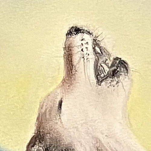 月夜に伝える想い（パステル画・原画） 6号 絵画 にゃんずら