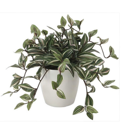 光触媒　人工観葉植物　ウォールグリーン　フェイクグリーン　トラディスカンティア 4枚目の画像