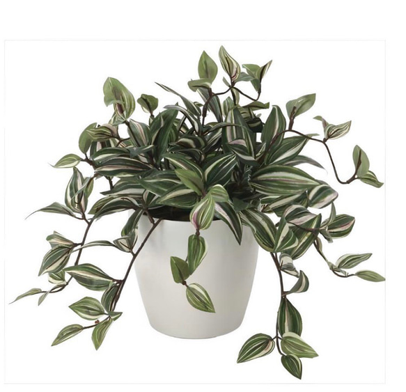 光触媒　人工観葉植物　ウォールグリーン　フェイクグリーン　トラディスカンティア 4枚目の画像