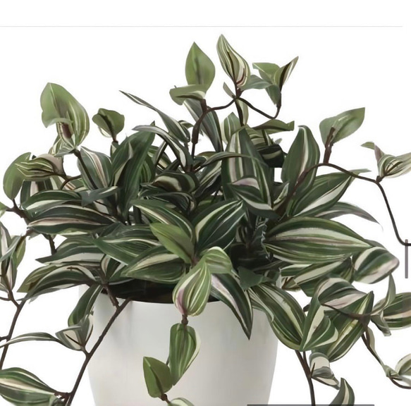 光触媒　人工観葉植物　ウォールグリーン　フェイクグリーン　トラディスカンティア 6枚目の画像