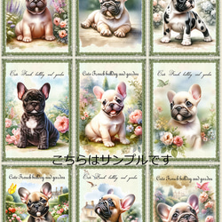 3cf9c81154c4f4f5665242a472c993  