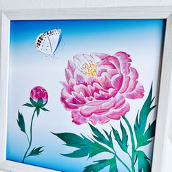 「芍薬とツバメシジミ蝶」インテリアイラスト絵画ポスター　(＋1000円で正方形額縁付き) 1枚目の画像
