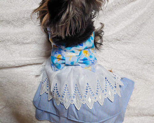 犬服　ハンドメイド　わんこ服　アイボリー系エレガント2段フリルワンピ CanNana 犬 服 犬服 ワンピース フリル ドレス レース リボン