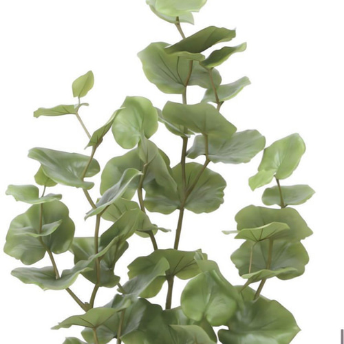 光触媒 人工観葉植物 ウォールグリーン フェイクグリーン シーグレープ