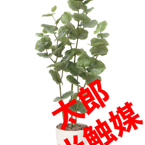 光触媒　人工観葉植物　ウォールグリーン　フェイクグリーン　シーグレープ1.2 光触媒 人工観葉植物 ウォールグリーン フェイクグリーン シーグレープ