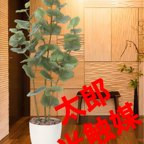 光触媒　人工観葉植物　ウォールグリーン　フェイクグリーン　シーグレープ1.6ｍ@ 光触媒 人工観葉植物 ウォールグリーン フェイクグリーン シーグレープ