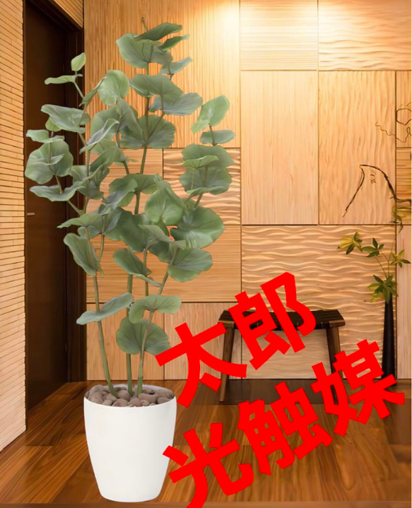 光の楽園 光触媒 人工観葉植物 ウォールグリーン フェイク 光の楽園 光触媒 人工観葉植物 ウォールグリーン フェイク