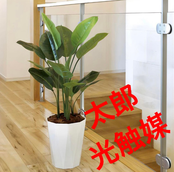 光触媒 人工観葉植物 ウォールグリーン スキンダプサス 1.0m その他  