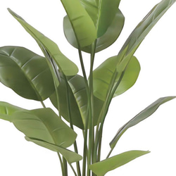 光触媒　人工観葉植物　ウォールグリーン　スキンダプサス 1.0m 6枚目の画像