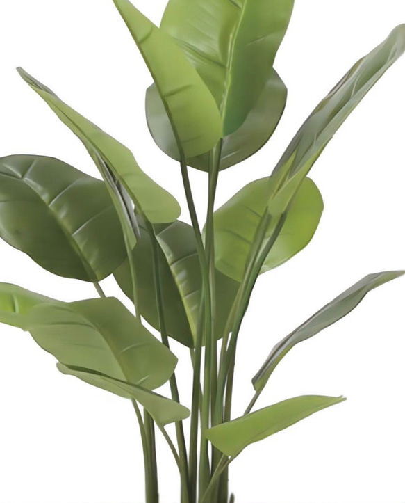 光触媒　人工観葉植物　ウォールグリーン　スキンダプサス 1.0m 6枚目の画像
