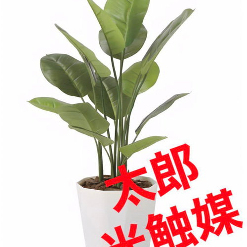 光触媒 人工観葉植物 ウォールグリーン スキンダプサス 1.0m その他  