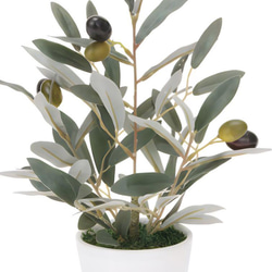 光触媒　人工観葉植物　ウォールグリーン　フェイクグリーン　ミニオリーブ30 3枚目の画像