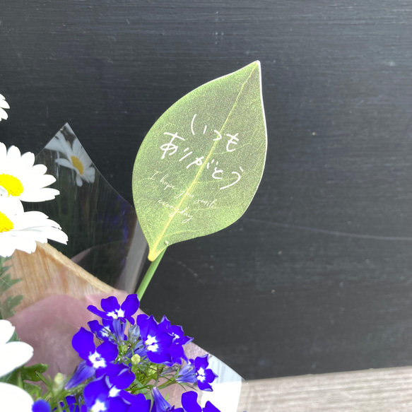 一点物【母の日2024・鉢物】お花を長く楽しみたいお母さんへ♡　鉢セット／マーガレット・ロベリア・アイビー 6枚目の画像